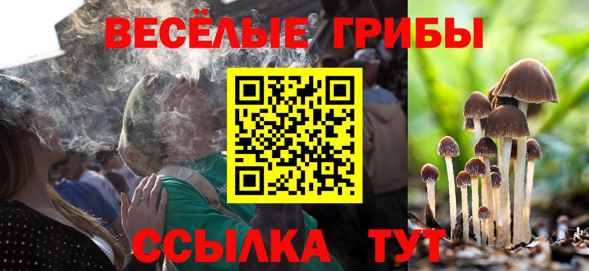 Псилоцибиновые грибы MAGIC MUSHROOMS Выборг