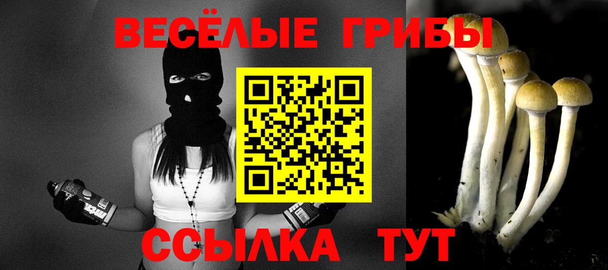 Выборг  купить наркоту  Вход с VPN  Псилоцибиновые грибы мицелий 